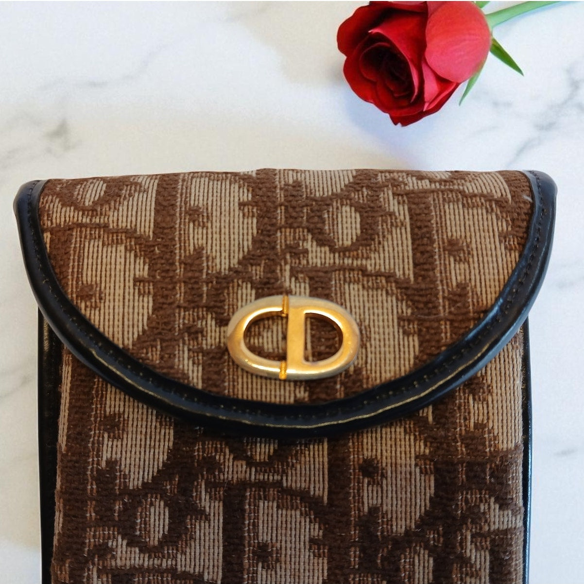 Christian Dior - Lady Dior Vintage Eyeglass Case in Brown & Tan