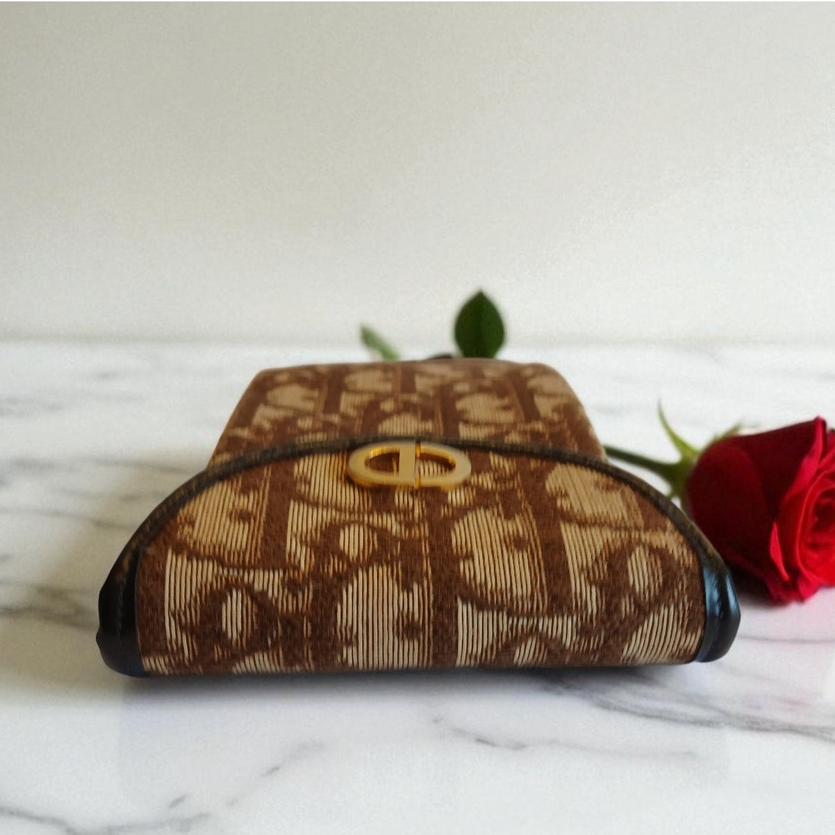 Christian Dior - Lady Dior Vintage Eyeglass Case in Brown & Tan