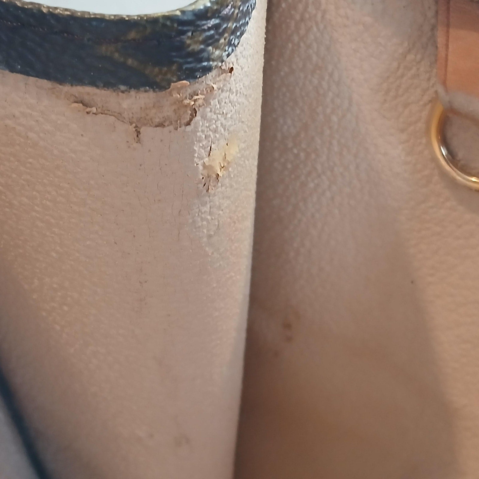 Louis Vuitton Monogram Sac Plat Vintage Tote Bag